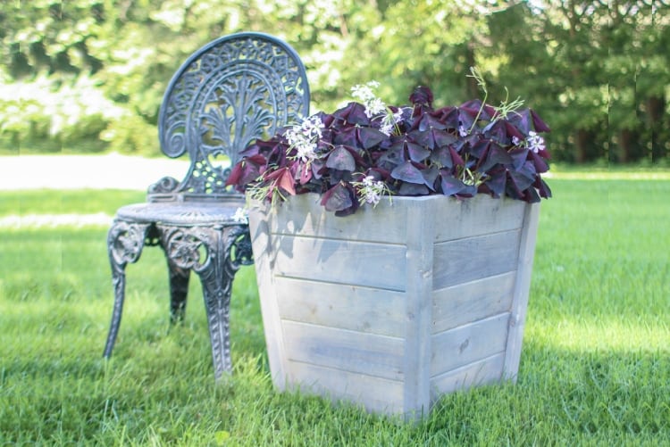 outdoor planters on a budget