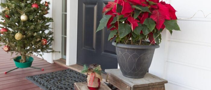 natural outdoor Christmas decorations